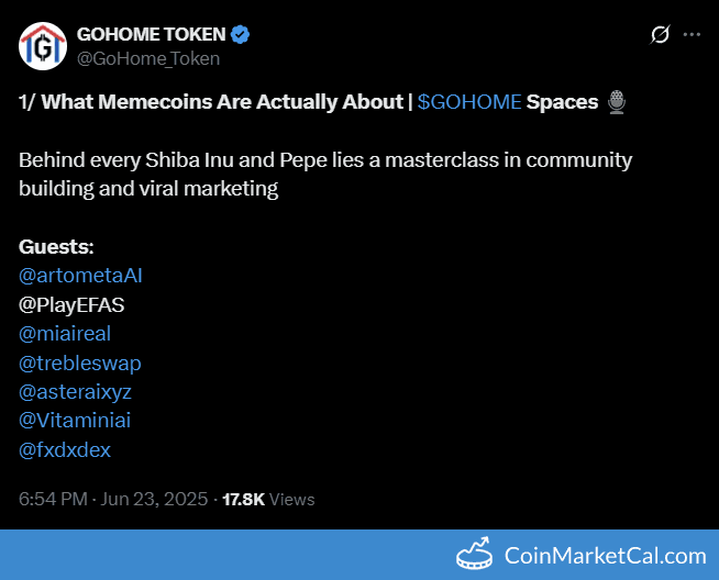 GOHOME Token Spaces: What Memecoins Are Really About