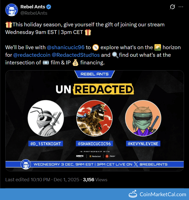 Redacted: Talk with Rebel Ants Live Session