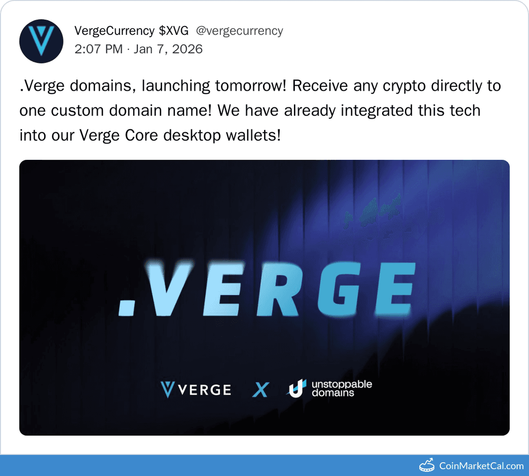 Verge Domain Service Launch