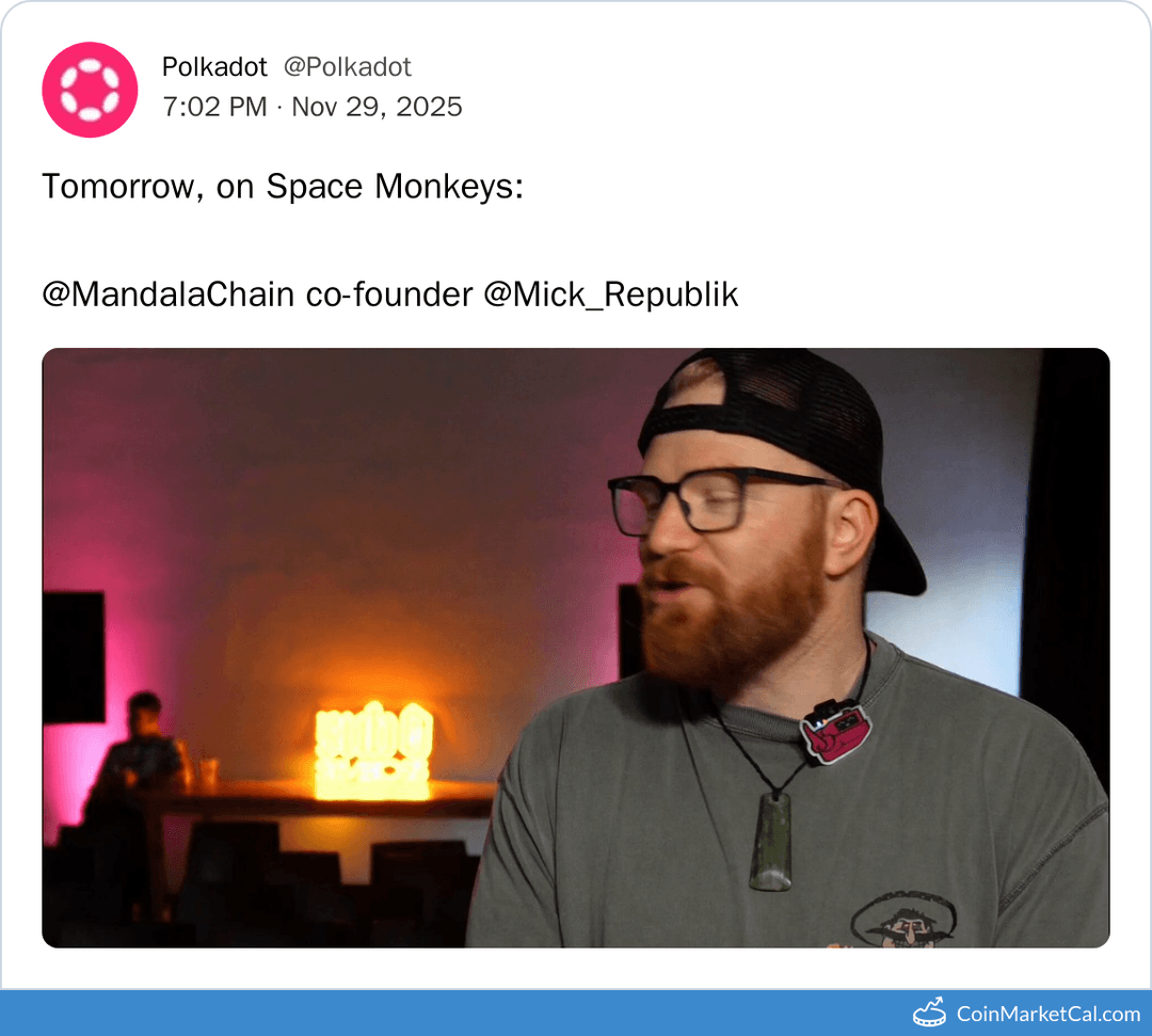 Mandala Chain Space Monkeys Team Update