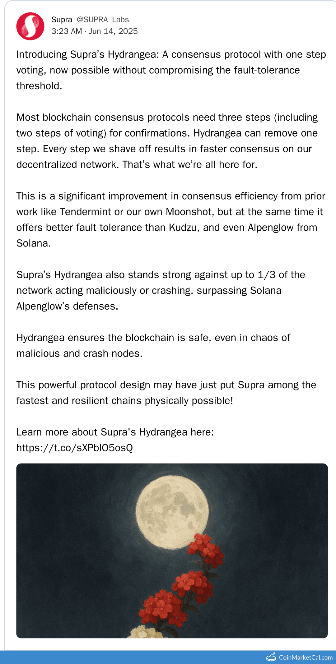 Supra's Hydrangea Consensus Protocol Launch