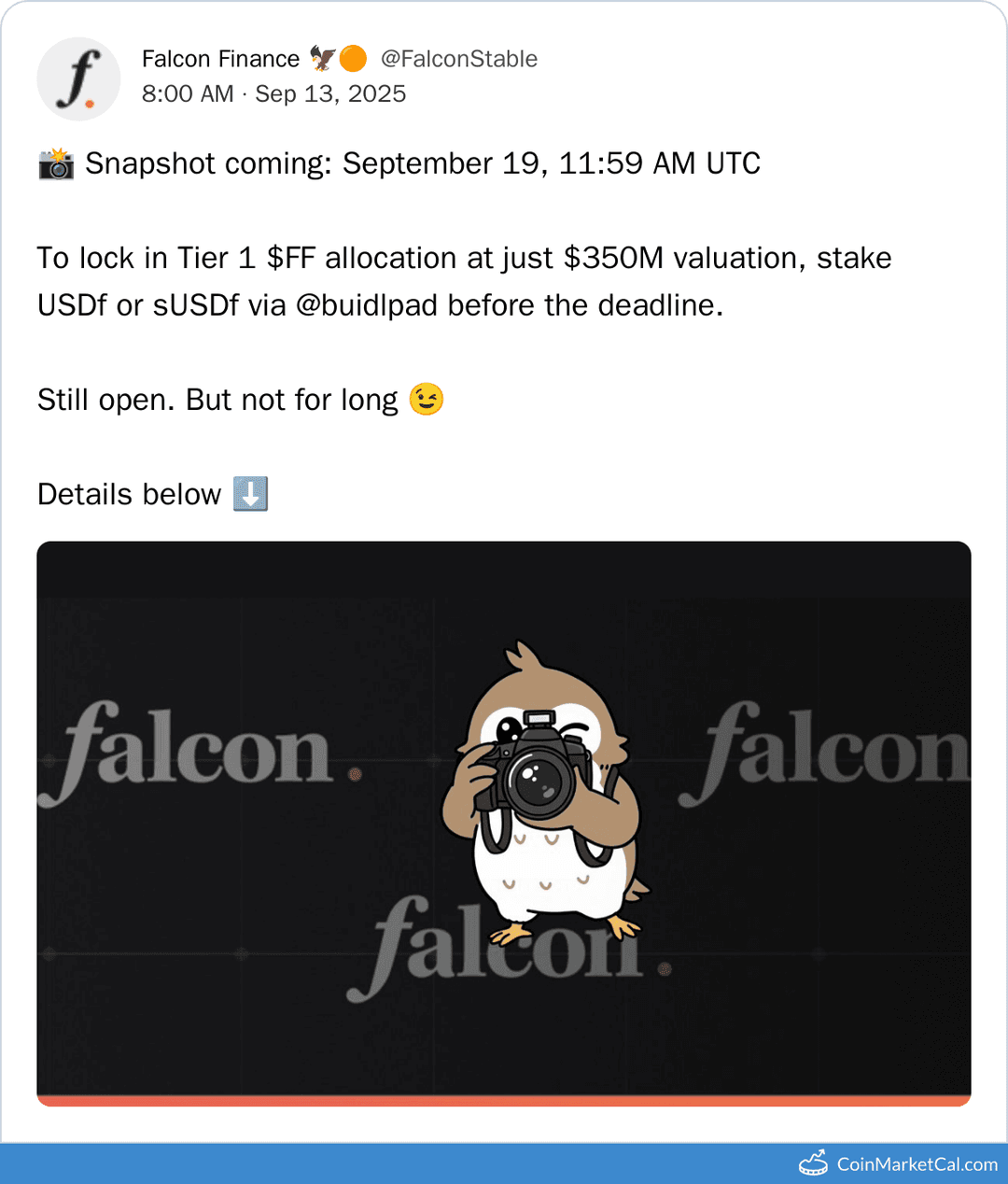 Falcon Finance Allocation Snapshot