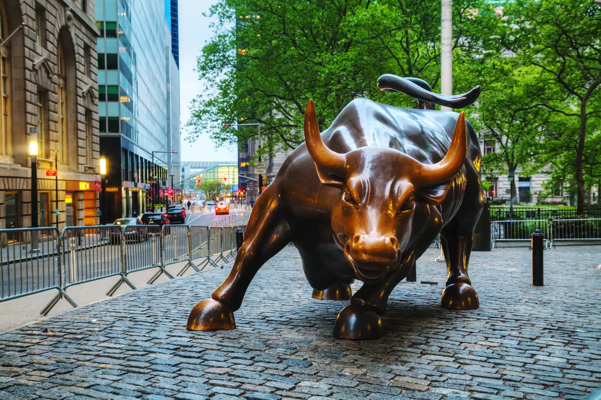 The likely bullish trend in 2025: where to keep an eye on